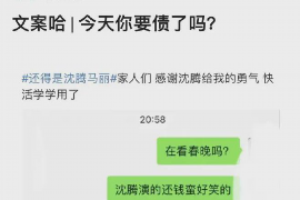 樊城樊城专业催债公司，专业催收